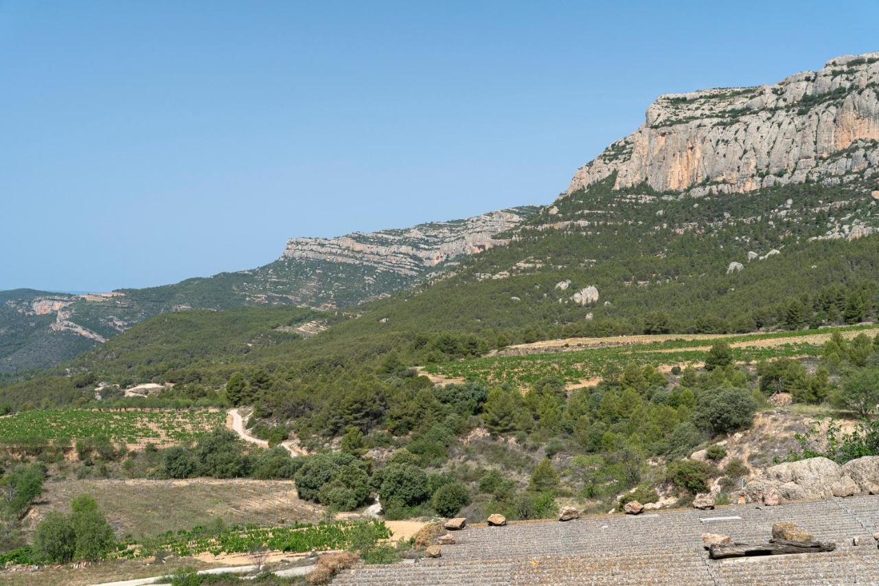 Cal Cosials Villa La Morera de Montsant Luaran gambar